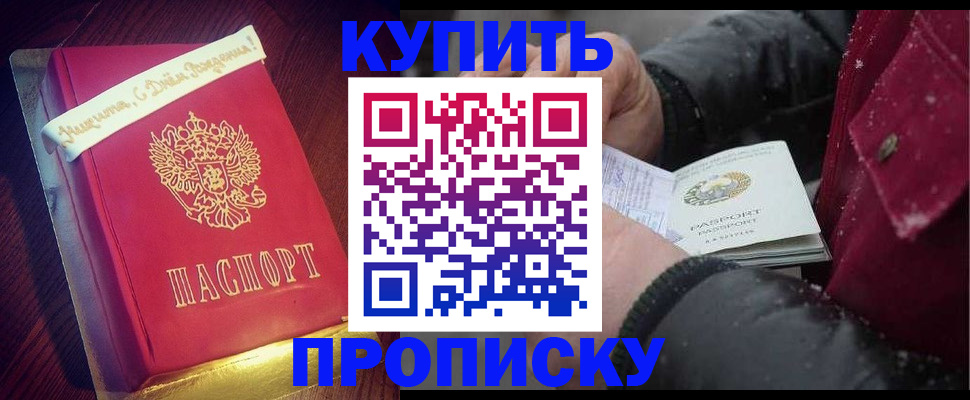 прописка гарантия в Раменском